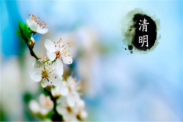 美彩国际喷塑设备厂家 | 清明时节哀思中蕴含着希望