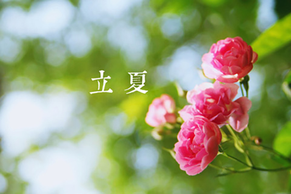 美彩国际涂装|立夏,万物向阳,且共成长